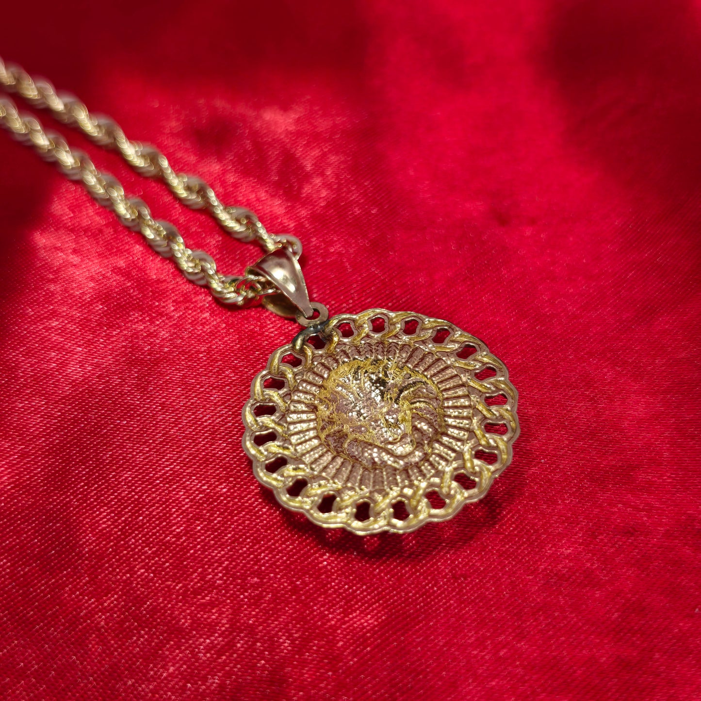 10K Yellow Gold Rope Chain with Lion Head Pendant | Round Cuban Border Medallion