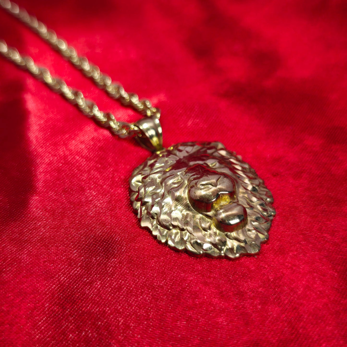 10K Gold Lion Head Pendant With 10K Rope Chain 20"