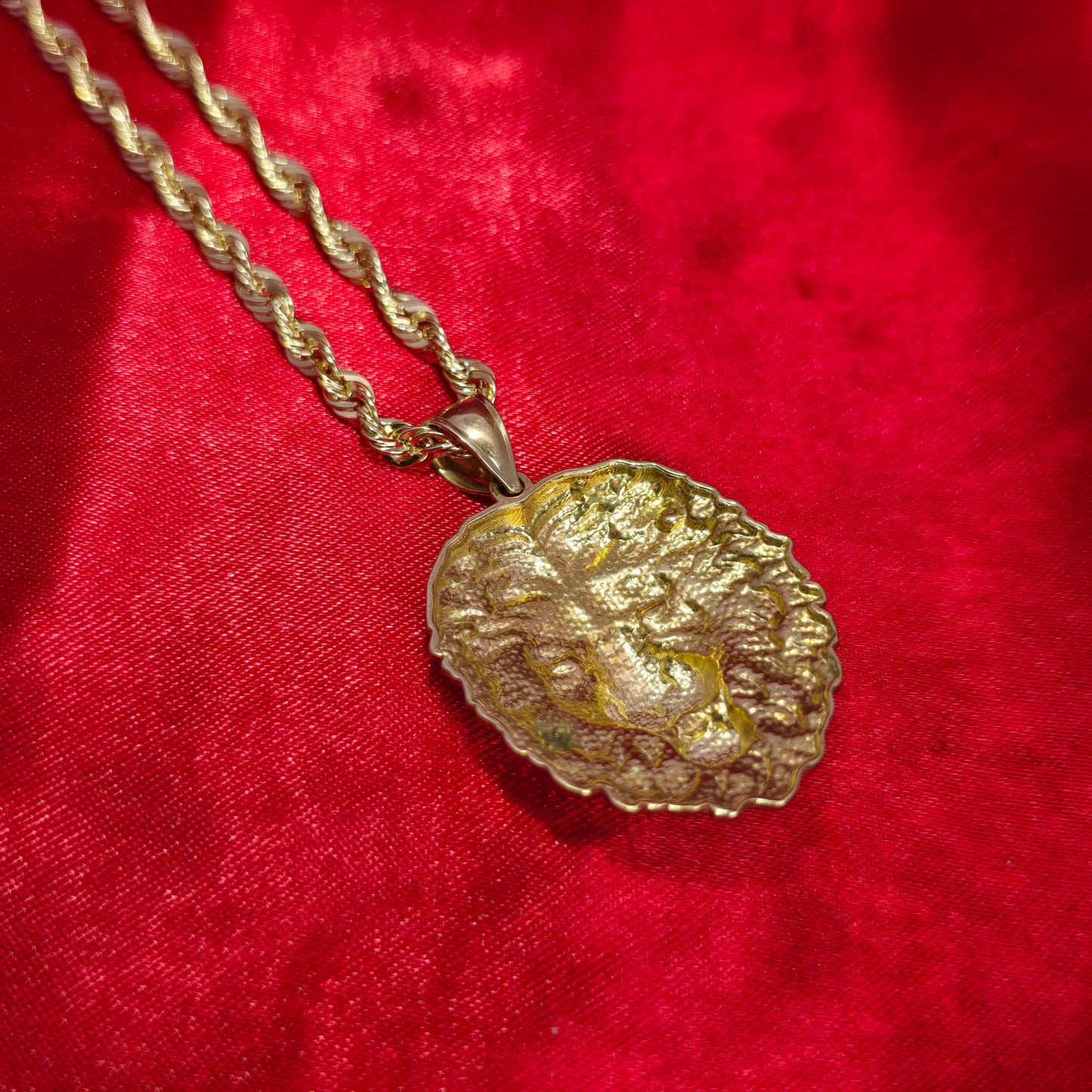 10K Gold Lion Head Pendant With 10K Rope Chain 20"
