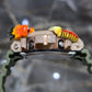 Casio G-Shock Dragon (Green) 6900 Iced Out Diamond Watch 5CTW