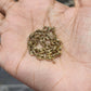 Real 10K Yellow Gold Hollow Puff Gucci Link 5 mm Bracelet 7 inch 4.13 grams
