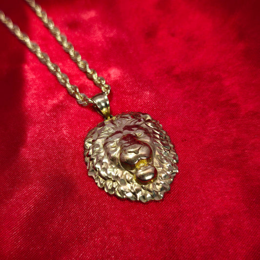 10K Gold Lion Head Pendant With 10K Rope Chain 20"