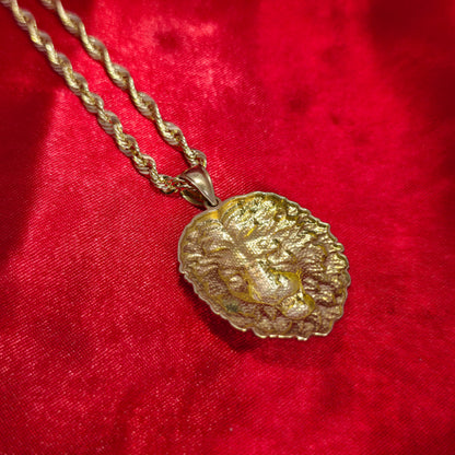10K Gold Lion Head Pendant With 10K Rope Chain 20"