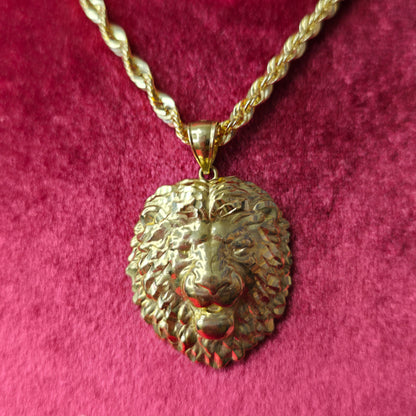 10K Gold Lion Head Pendant With 10K Rope Chain 20"