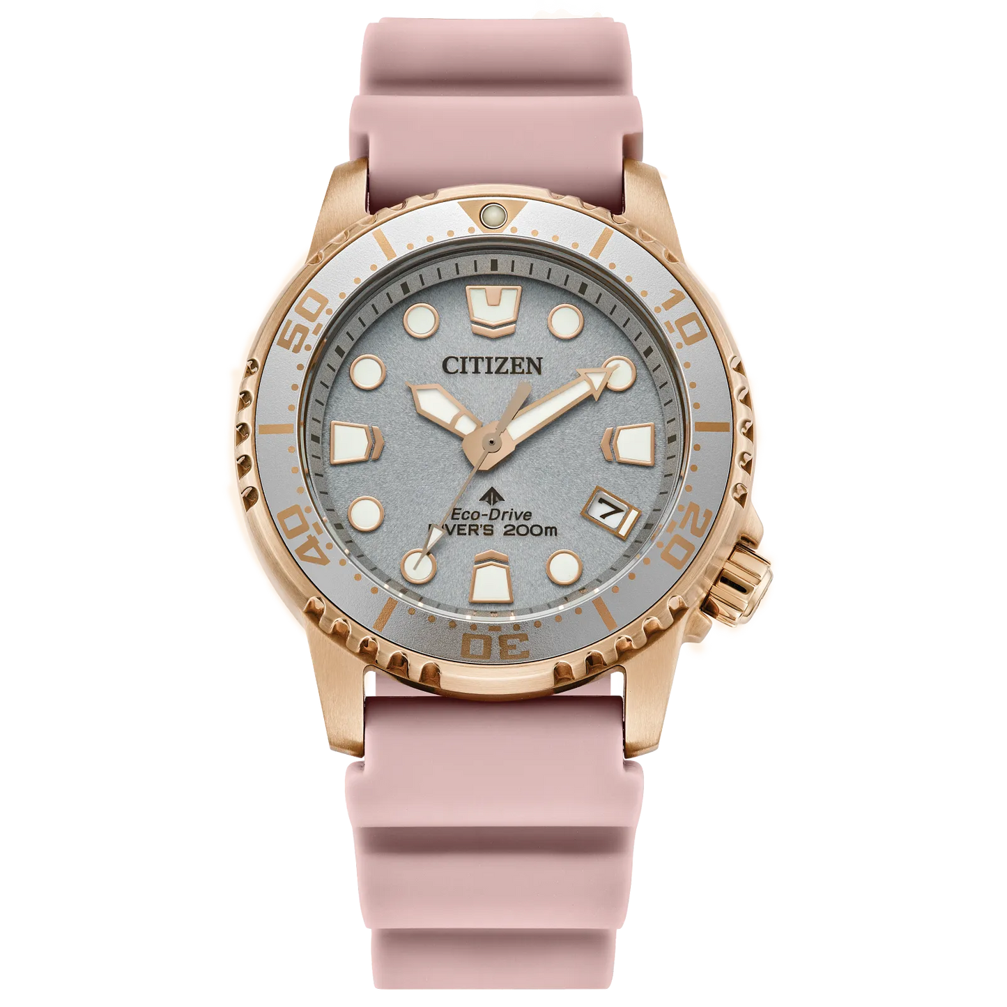 Citizen Watch : Promaster Dive