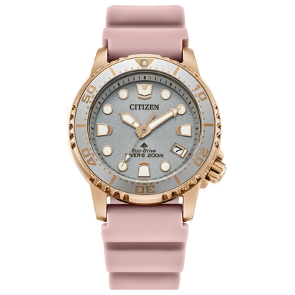 Citizen Watch : Promaster Dive