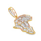 10k Yellow Gold Diamond Africa Map Pendant 5/8 ctw