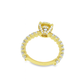 10K Yellow Gold Diamond Halo Engagement Ring Set 3.75 ctw